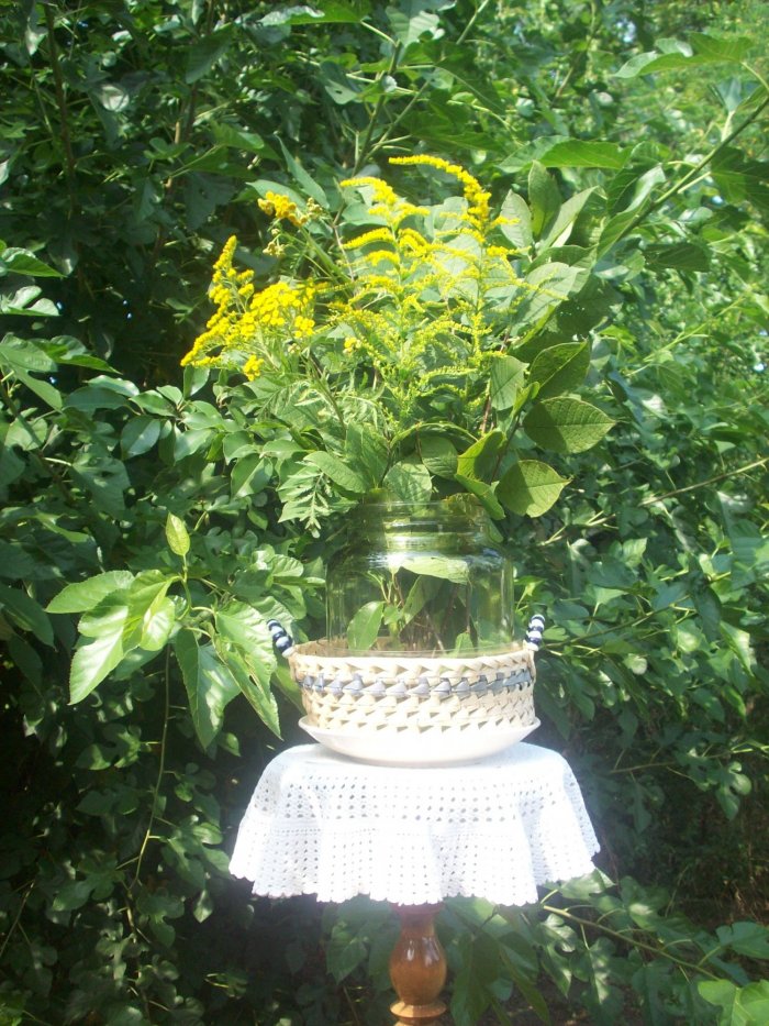 Sprzątanie i upiększanie domów, mieszkań, firm.