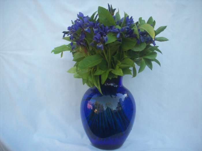 Sprzątanie i upiększanie domów, mieszkań, firm.