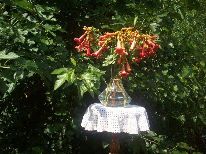 Sprzątanie i upiększanie domów, mieszkań, firm.