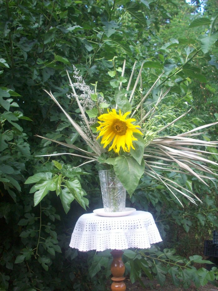 Dzikie zioła ukwiecające pomieszczenia