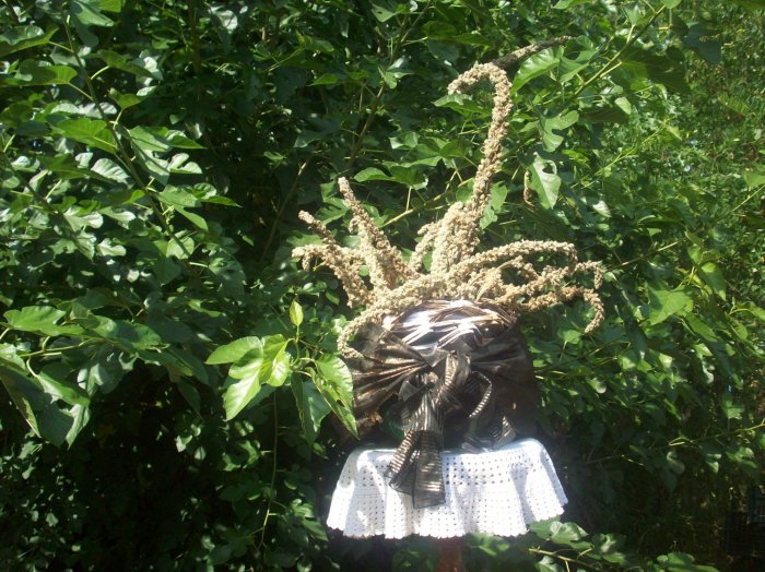 Dzikie zioła ukwiecające pomieszczenia