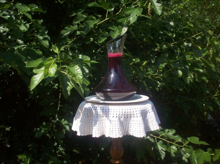 Kiszony barszcz czerwony