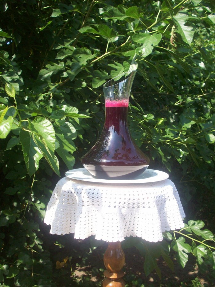 Kiszony barszcz czerwony