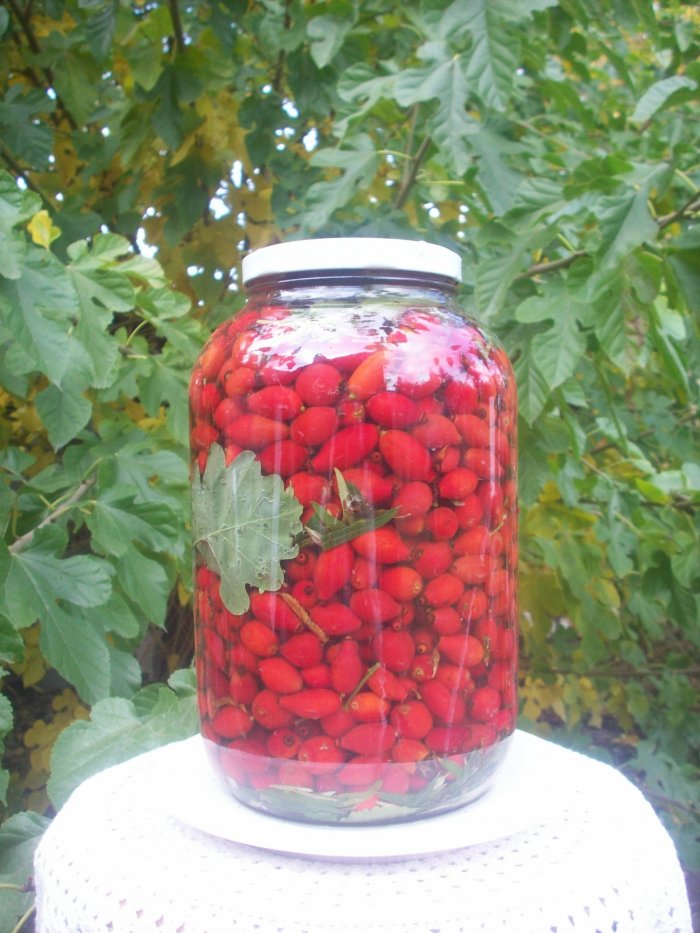 Kiszony owoc dzikiej róży