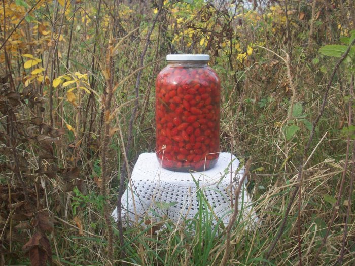 Kiszony owoc dzikiej róży