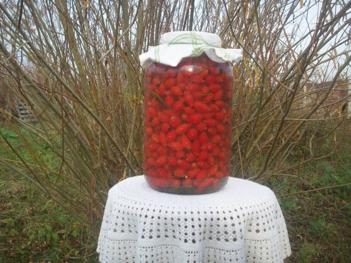 Kiszony owoc dzikiej róży