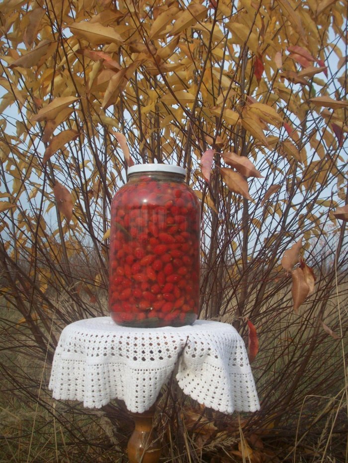 Kiszony owoc dzikiej róży