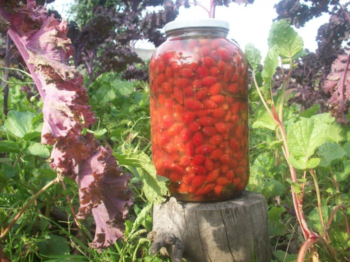 Kiszony owoc dzikiej róży