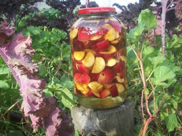 Kiszone jabłka