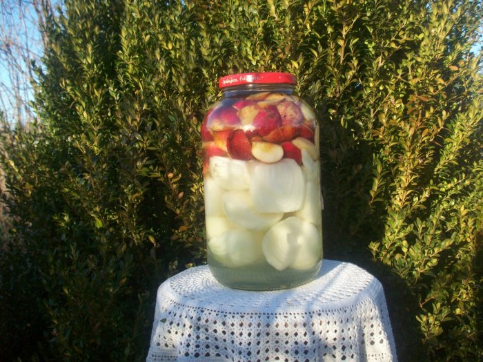 Kiszone jabłka z cebulą