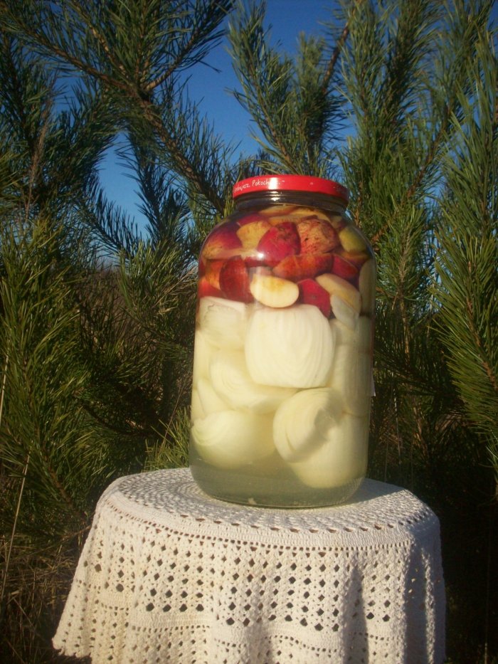 Kiszone jabłka z cebulą