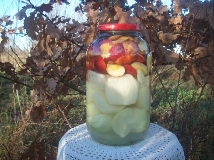 Kiszone jabłka z cebulą