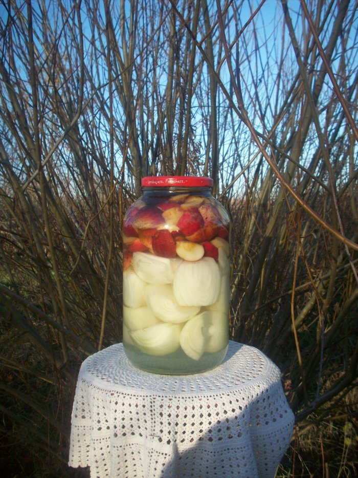 Kiszone jabłka z cebulą