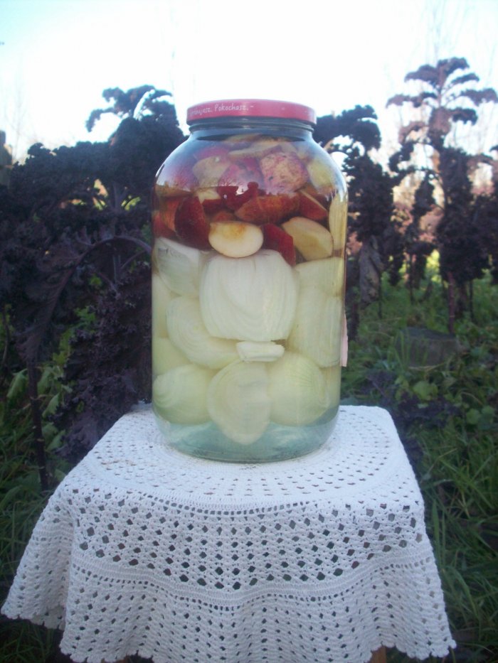 Kiszone jabłka z cebulą