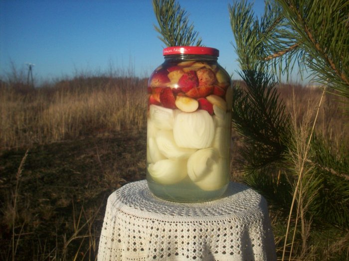 Kiszone jabłka z cebulą