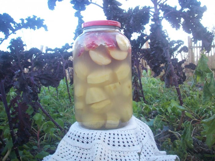 Kiszone jabłka z ziemniakami