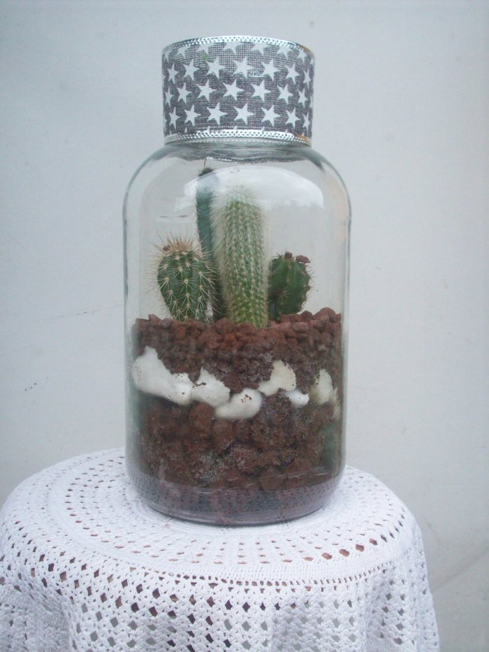 Żywa kompozycja roślinna w szkle 1