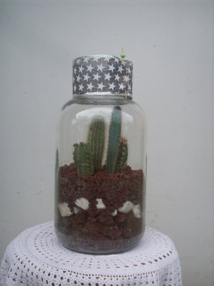 Żywa kompozycja roślinna w szkle 1