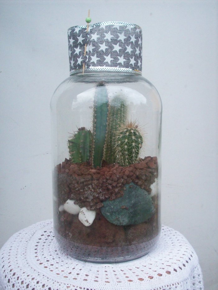 Żywa kompozycja roślinna w szkle 1