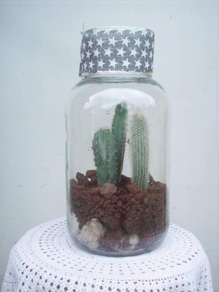 Żywa kompozycja roślinna w szkle 2