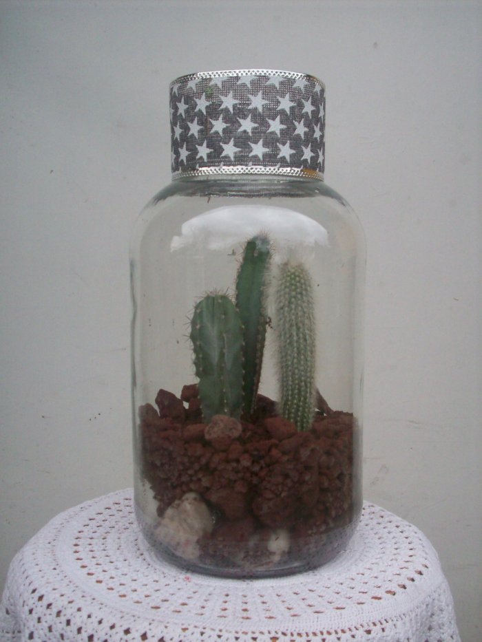 Żywa kompozycja roślinna w szkle 2