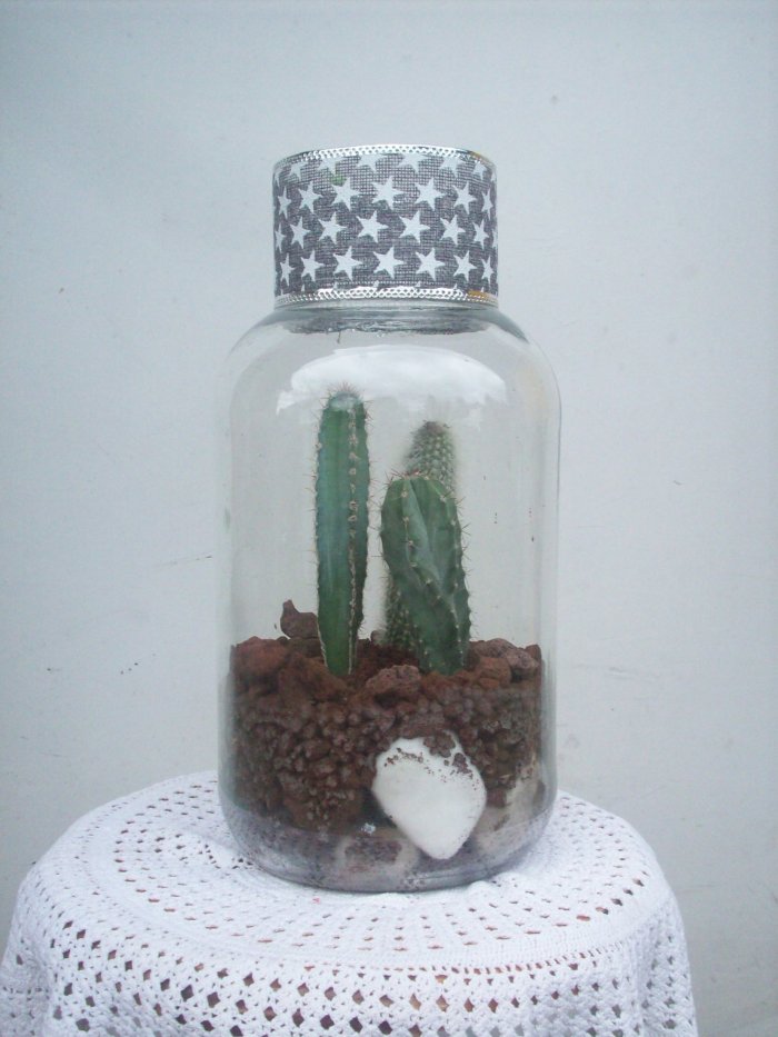 Żywa kompozycja roślinna w szkle 2