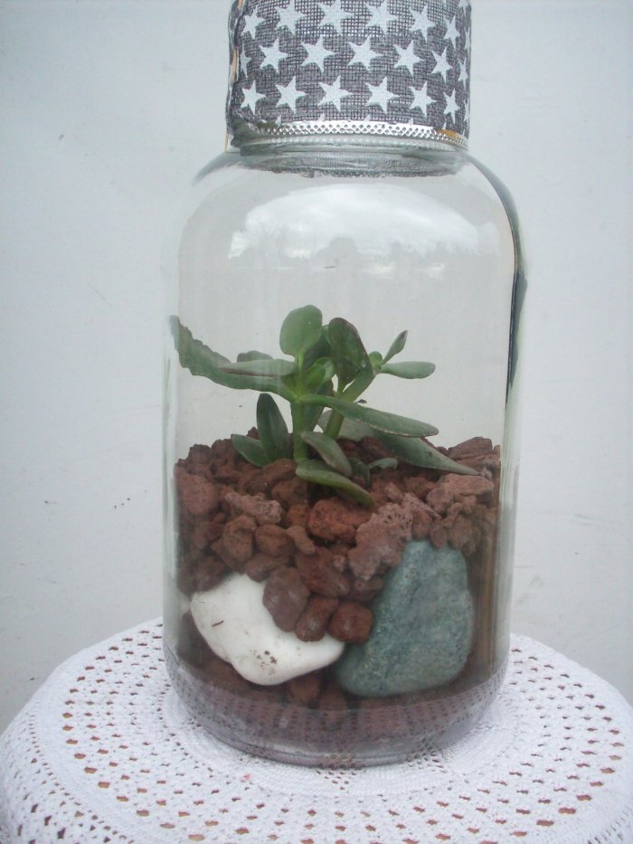 Żywa kompozycja roślinna w szkle 3