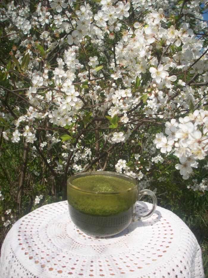 Świeży sok z pokrzywy