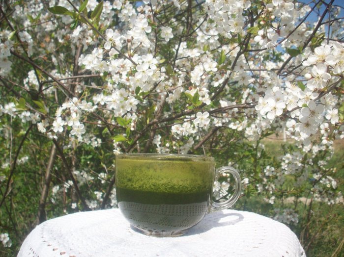 Świeży sok z pokrzywy