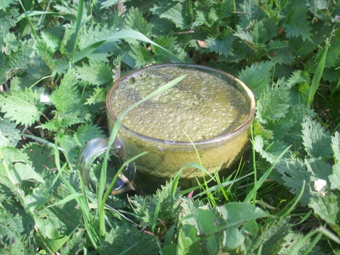 Świeży sok z pokrzywy