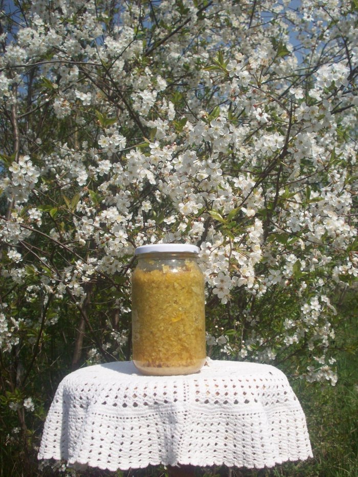 Mikstura na żylaki i zakrzepowe zapalenie żył.