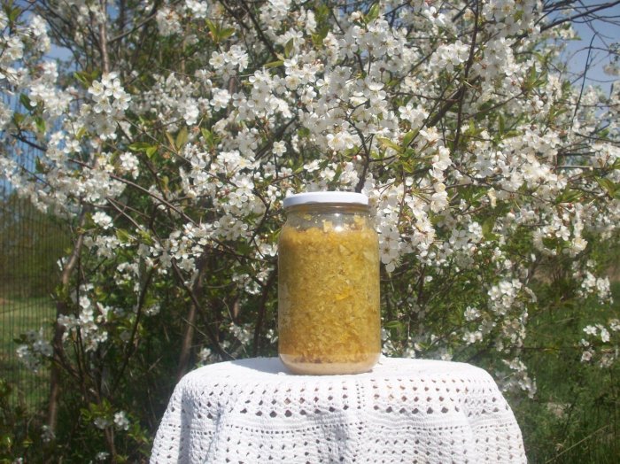 Mikstura na żylaki i zakrzepowe zapalenie żył.