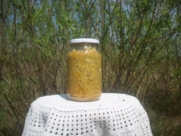 Mikstura na żylaki i zakrzepowe zapalenie żył.