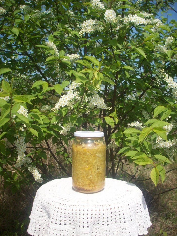 Mikstura na żylaki i zakrzepowe zapalenie żył.