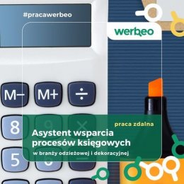 Asystent wsparcia procesów księgowych - praca zdalna