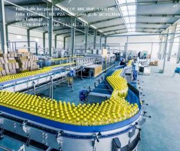 Folie bezpieczne i antywłamaniowe 2B2, 1B1, P2A Warszawa HACCP, BHP, SANEPID