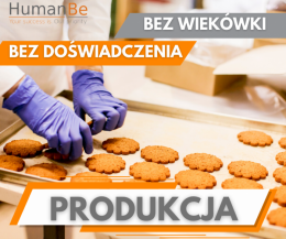 PRODUKCJA CIASTEK - OD ZARAZ - ZAKWATEROWANIE - HOLANDIA