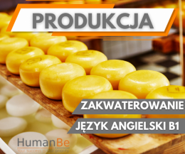 PRODUKCJA SERA - OD ZARAZ - ZAKWATEROWANIE - HOLANDIA