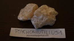 MDMA 84% czystości - Psychonautilius1