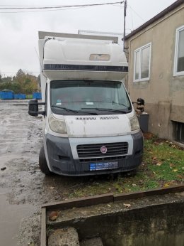 Syndyk sprzeda samochód ciężarowy FIAT Ducato