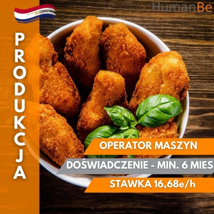 OPERATOR MASZYN - PRODUKCJA PRZEKĄSEK - HOLANDIA