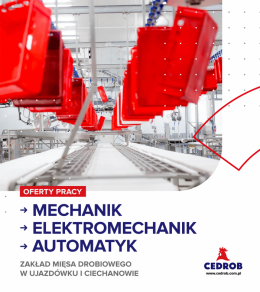 Automatyk w Dziale Wdrożeń i Utrzymania Ruchu