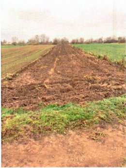 Nieruchomość niezabudowana - Witów