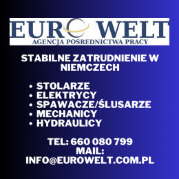 Niemcy/ Kierowca C+E/ system 2/2