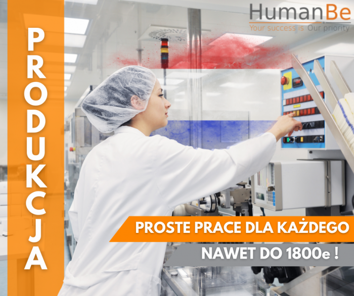 PROSTE PRACE PRODUKCYJNE - ZAKWATEROWANIE - HOLANDIA