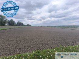 Kantorowice - cicha i spokojna okolica - 95 arów
