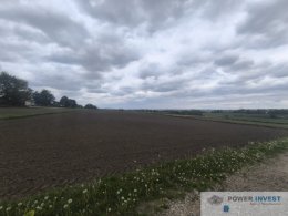 Kantorowice - cicha i spokojna okolica - 95 arów