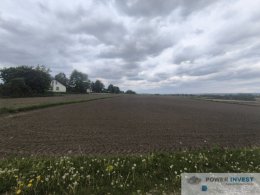 Kantorowice - cicha i spokojna okolica - 95 arów