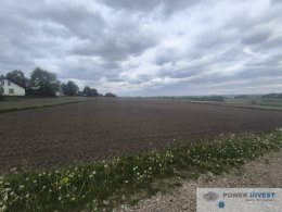Kantorowice - cicha i spokojna okolica - 95 arów