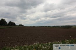 Kantorowice - cicha i spokojna okolica - 95 arów